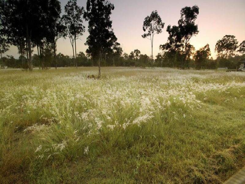 TEVIOT DOWNS, Pub Lane, Greenbank QLD 4124