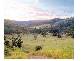 Welchs Rd, WONGAWALLAN, Northern Gold Coast, Wongawallan QLD 4210