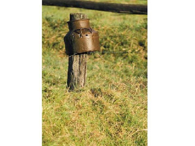 Welchs Rd, WONGAWALLAN, Northern Gold Coast, Wongawallan QLD 4210