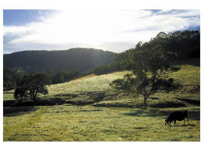 Welchs Rd, WONGAWALLAN, Northern Gold Coast, Wongawallan QLD 4210