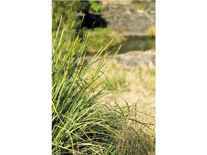 Lot 11 Yallanbee Estate, Wongawallan QLD 4210