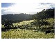 Lot 13 Yallanbee Estate, Wongawallan QLD 4210