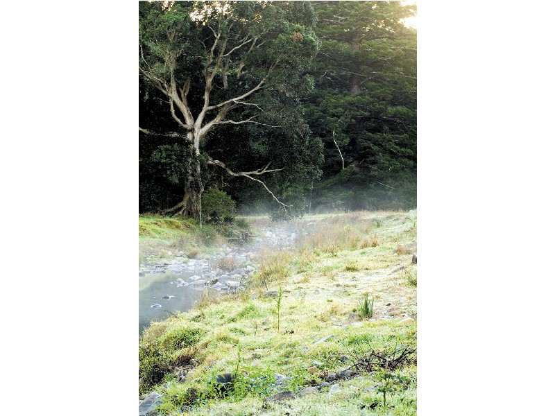 Lot 18 Yallanbee Estate, Wongawallan QLD 4210