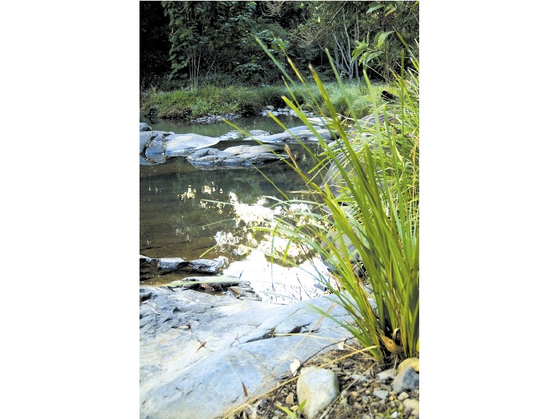 Lot 18 Yallanbee Estate, Wongawallan QLD 4210