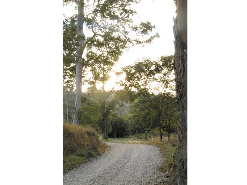 Lot 3 Yallanbee Estate, Wongawallan QLD 4210