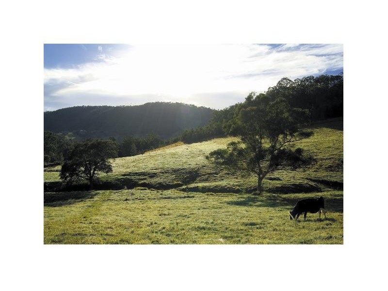 Lot 5 Yallanbee Estate, Wongawallan QLD 4210