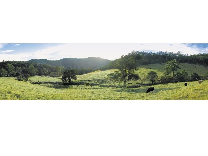 Lot 6 Yallanbee Estate, Wongawallan QLD 4210