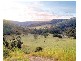 Lot 7 Yallanbee Estate, Wongawallan QLD 4210