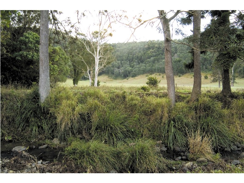 Lot 8 Yallanbee Estate, Wongawallan QLD 4210