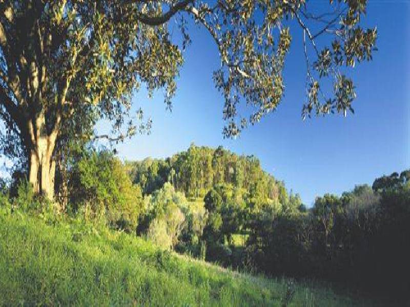 CLOVER HILL ESTATE, off Somerset Dr, Mudgeeraba QLD 4213