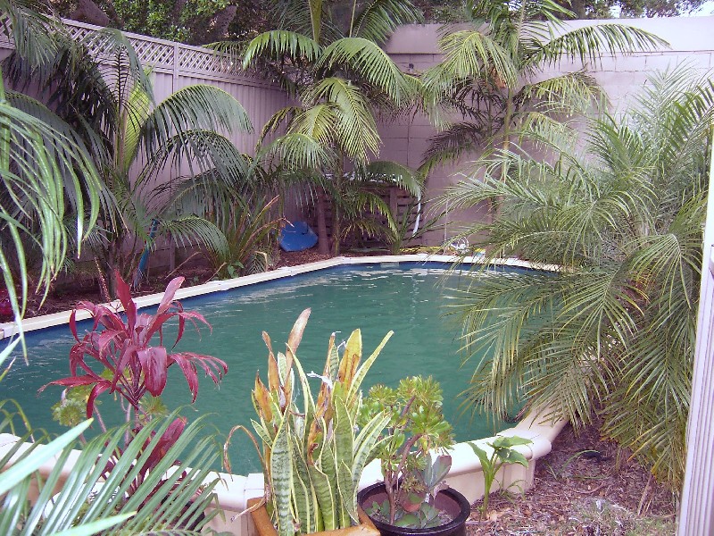 92 Little Bay Road, Chifley NSW 2036