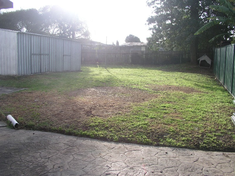 19 Frances Street, Northmead NSW 2152