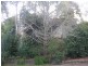 3 Eve Place, Winston Hills NSW 2153