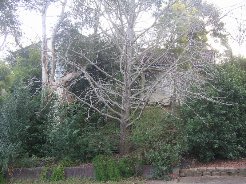 3 Eve Place, Winston Hills NSW 2153