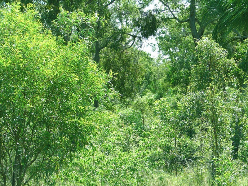 Agnes Water QLD 4677