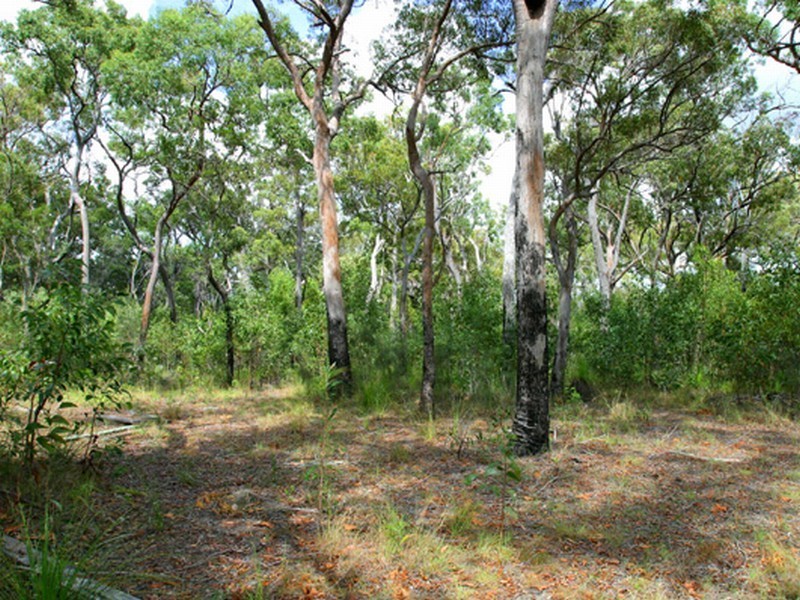Agnes Water QLD 4677