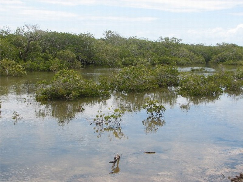 Agnes Water QLD 4677