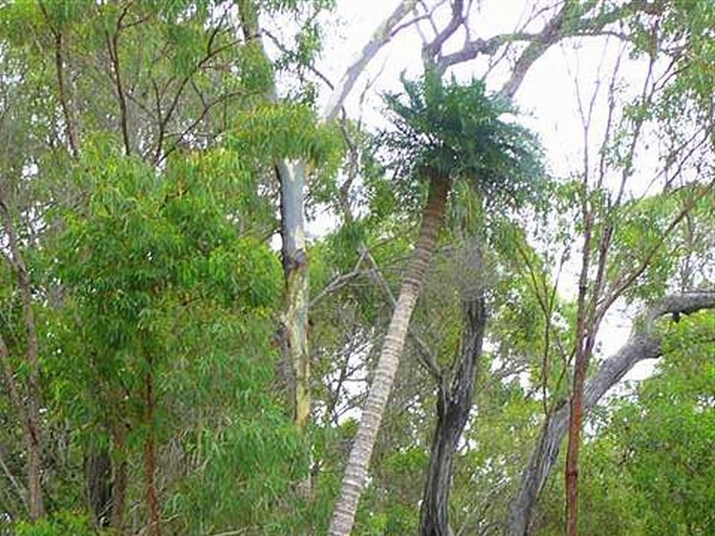 Agnes Water QLD 4677