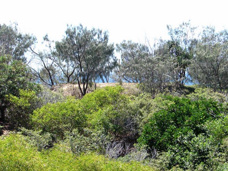 Agnes Water QLD 4677