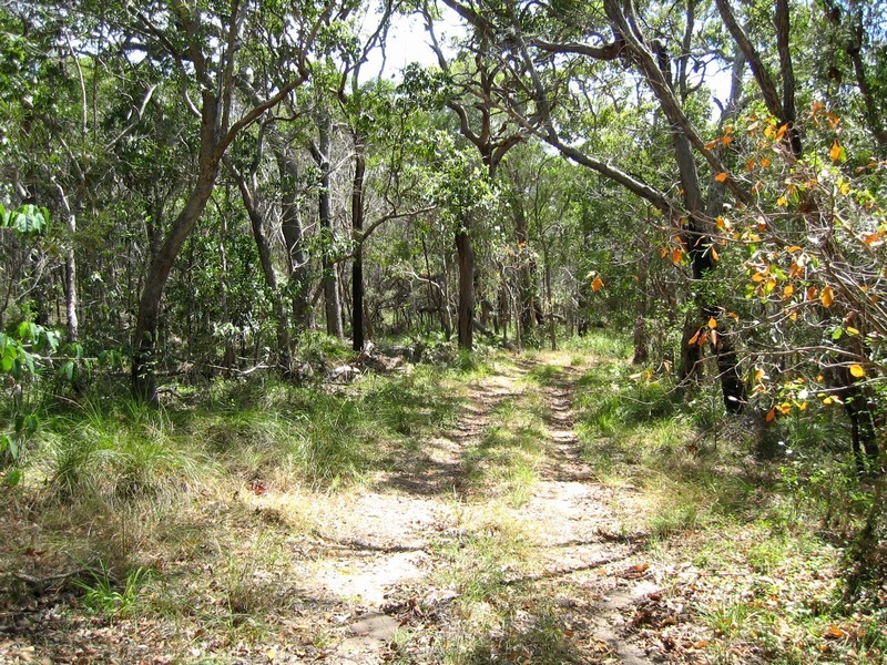 Agnes Water QLD 4677