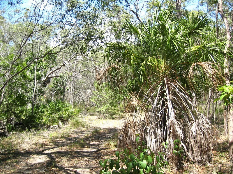 Agnes Water QLD 4677