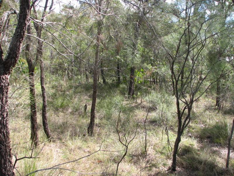 Agnes Water QLD 4677