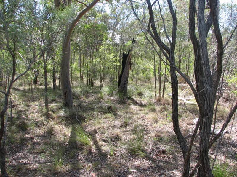 Agnes Water QLD 4677