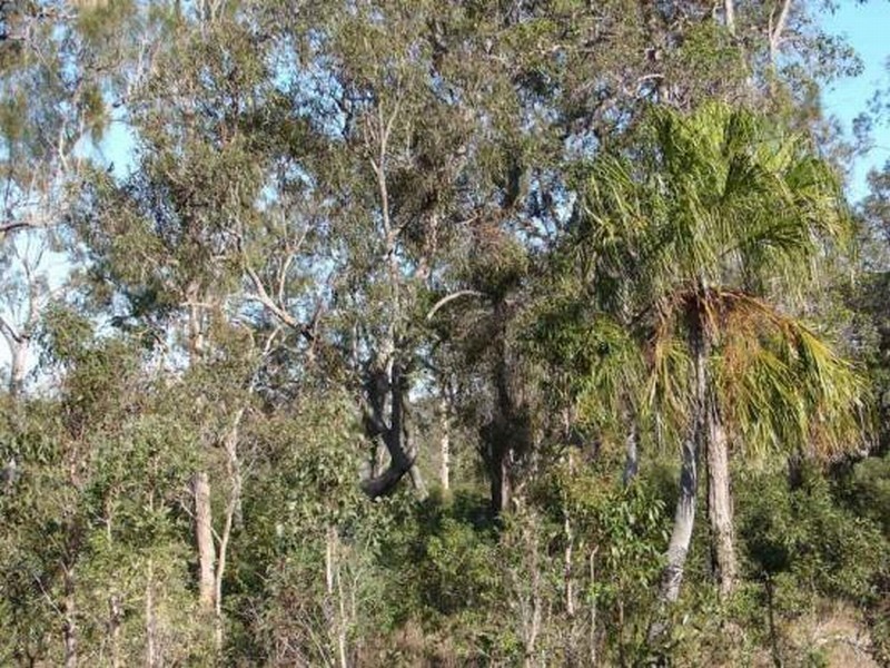 Agnes Water QLD 4677