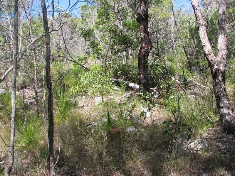 Agnes Water QLD 4677