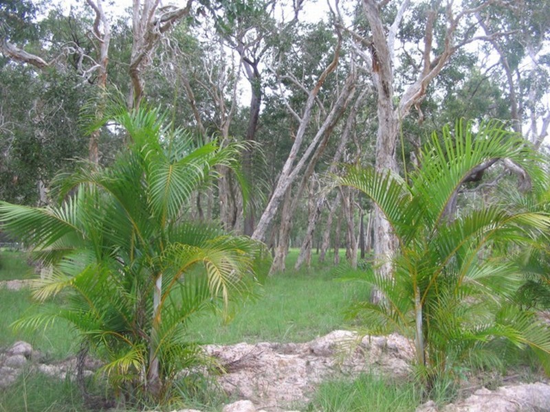 Agnes Water QLD 4677