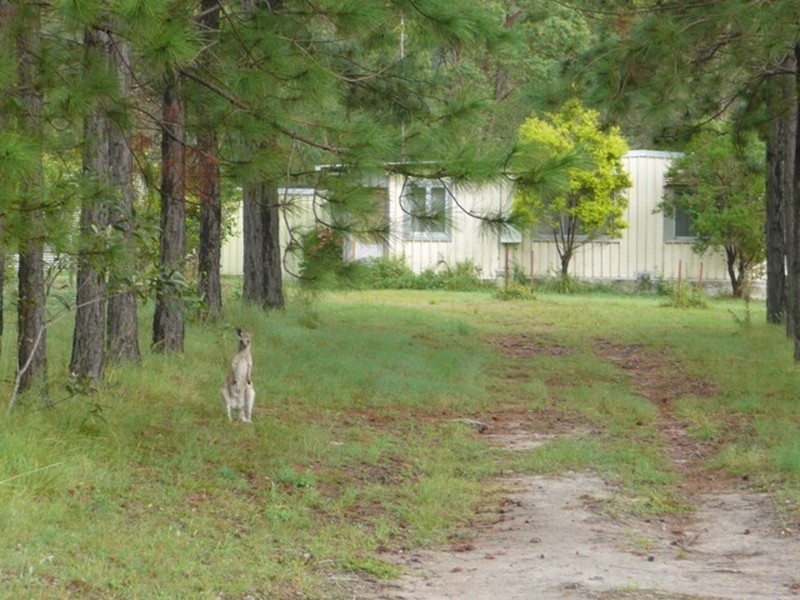 Agnes Water QLD 4677