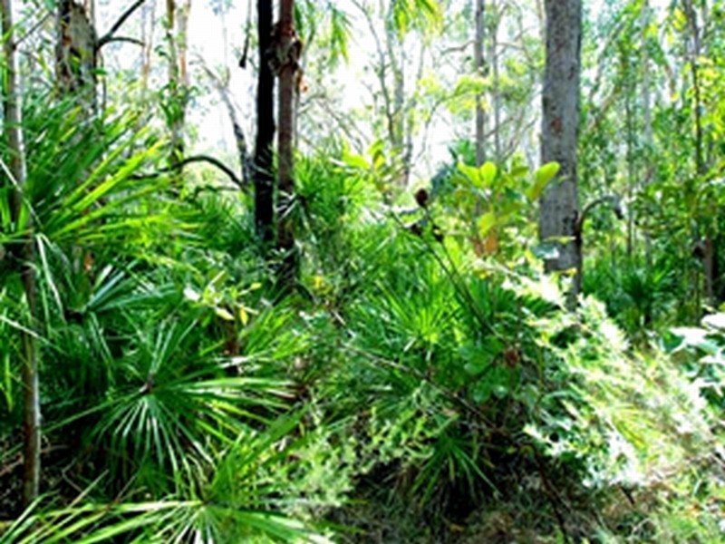 Agnes Water QLD 4677