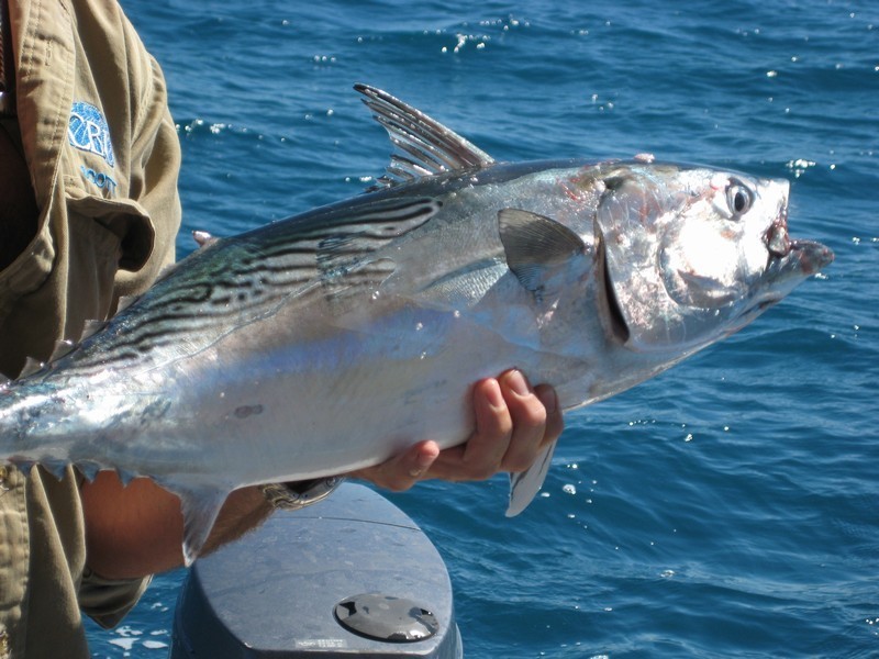 Agnes Water QLD 4677