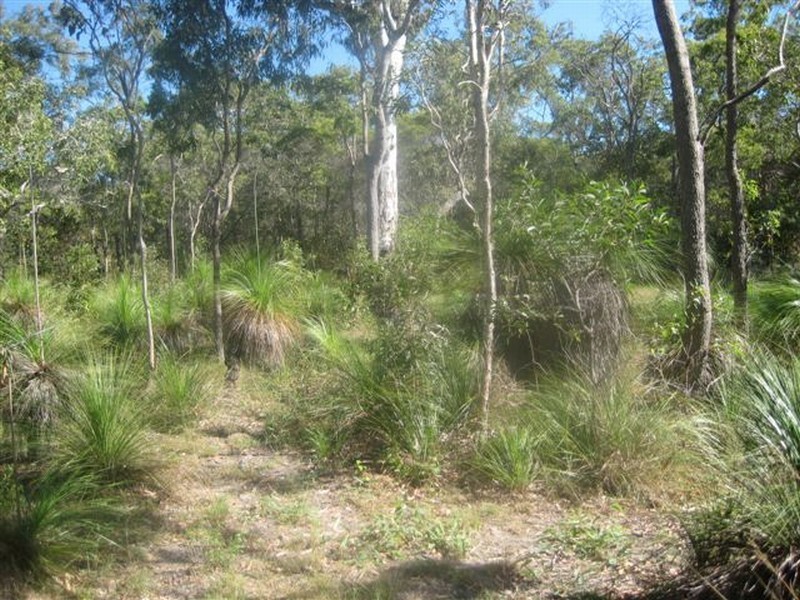 399 Countess russell, Agnes Water QLD 4677