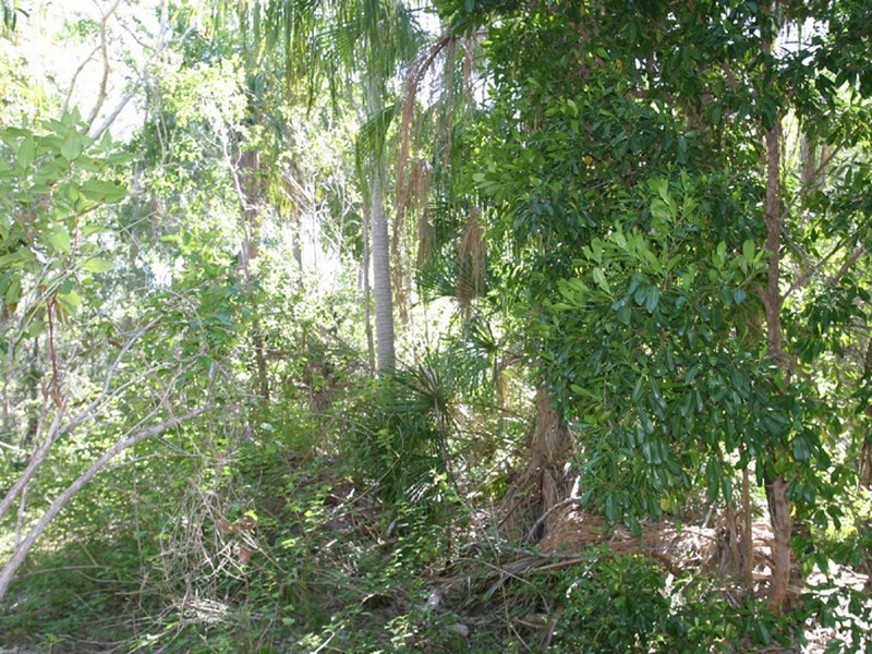 Agnes Water QLD 4677