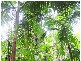 650 Round Hill Road, Agnes Water QLD 4677