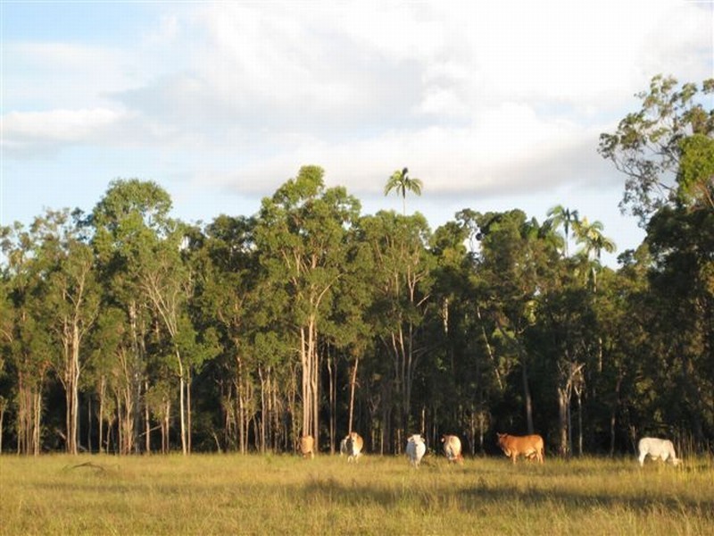 650 Round Hill Road, Agnes Water QLD 4677