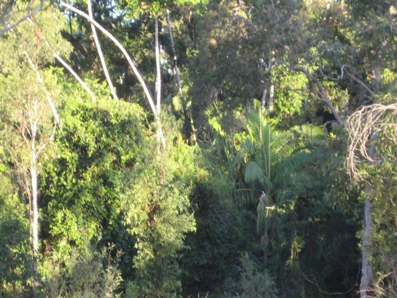 650 Round Hill Road, Agnes Water QLD 4677