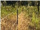 650 Round Hill Road, Agnes Water QLD 4677