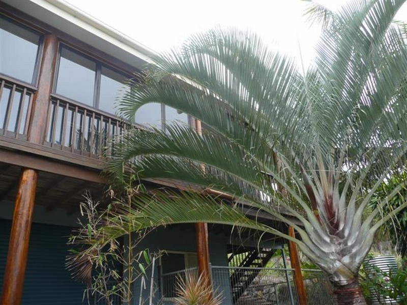 1 Woodrow Drive, Agnes Water QLD 4677