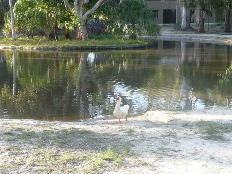 Agnes Water QLD 4677