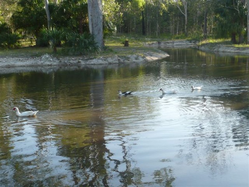 Agnes Water QLD 4677