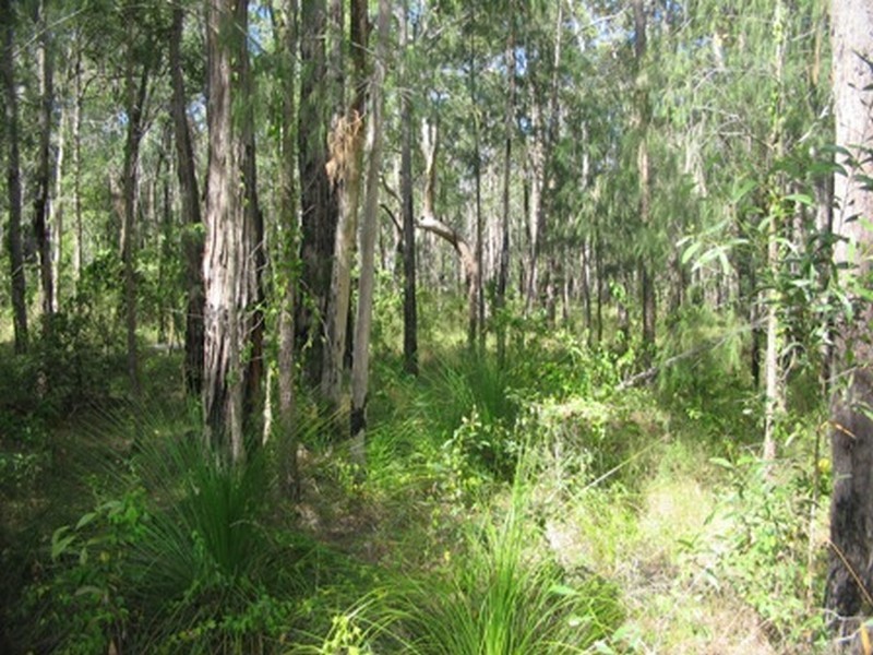 Agnes Water QLD 4677