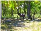 2102 Round Hill Road, Agnes Water QLD 4677