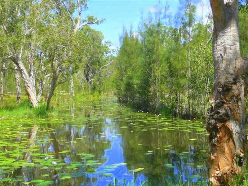 2102 Round Hill Road, Agnes Water QLD 4677