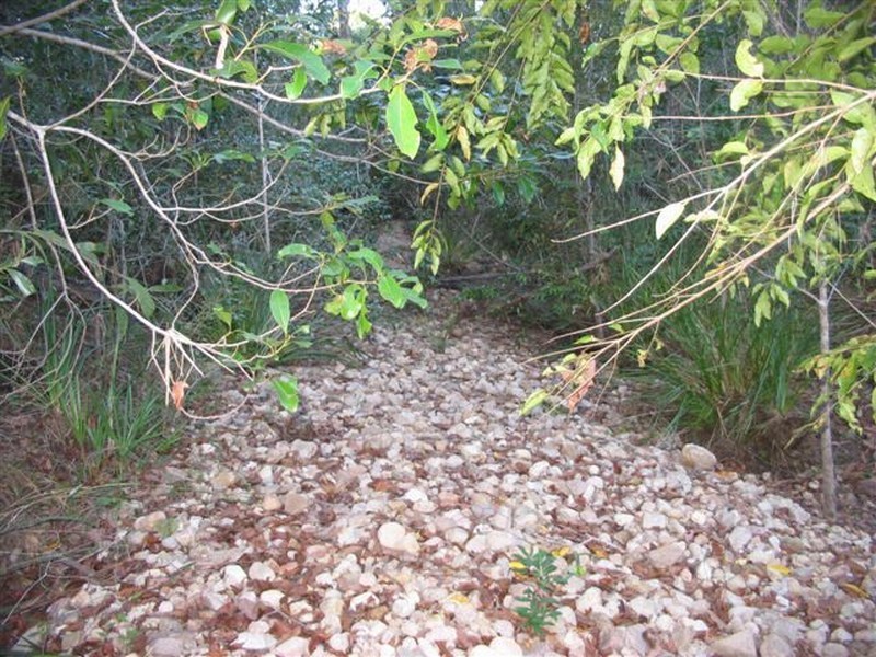 215 Murphy Road, Captain Creek QLD 4677