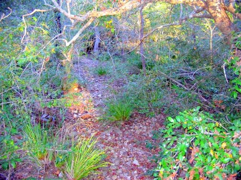 215 Murphy Road, Captain Creek QLD 4677