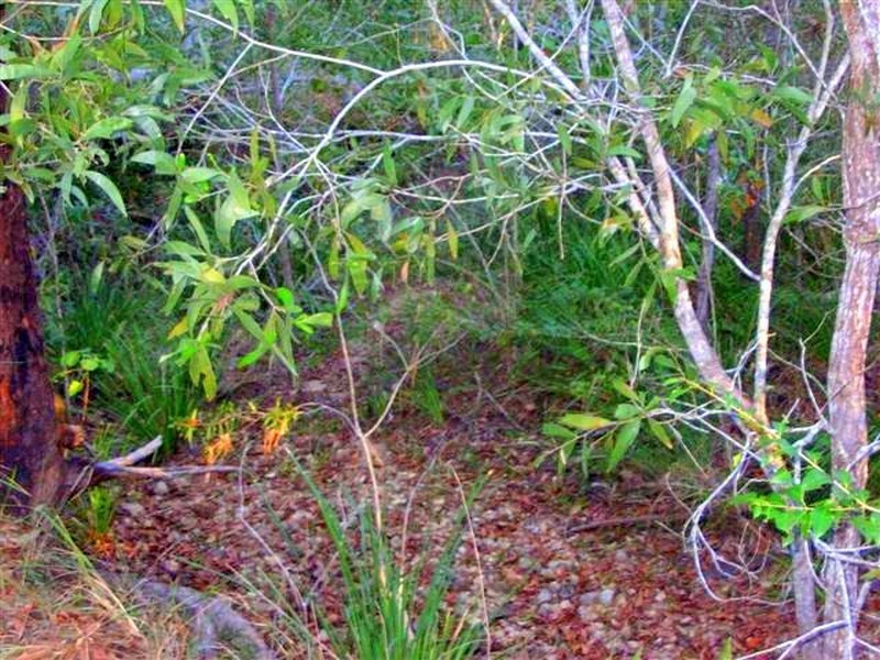 215 Murphy Road, Captain Creek QLD 4677