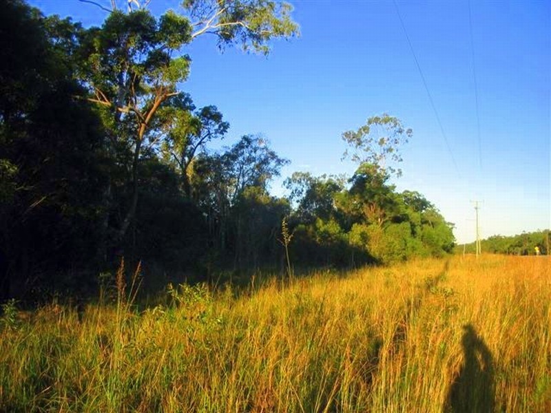 215 Murphy Road, Captain Creek QLD 4677