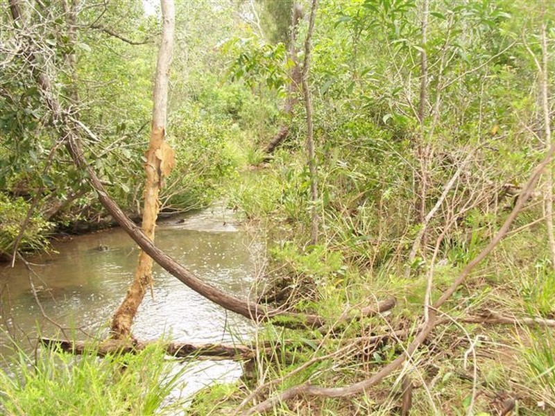 215 Murphy Road, Captain Creek QLD 4677